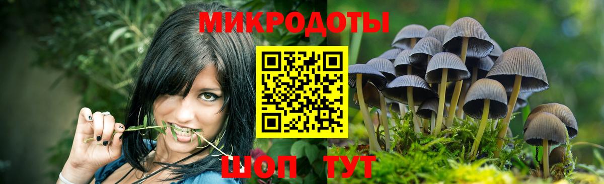 Саяногорск  Псилоцибиновые грибы Psilocybe  Галлюциногенные грибы ЛСД  как найти наркотики  Вход с VPN 